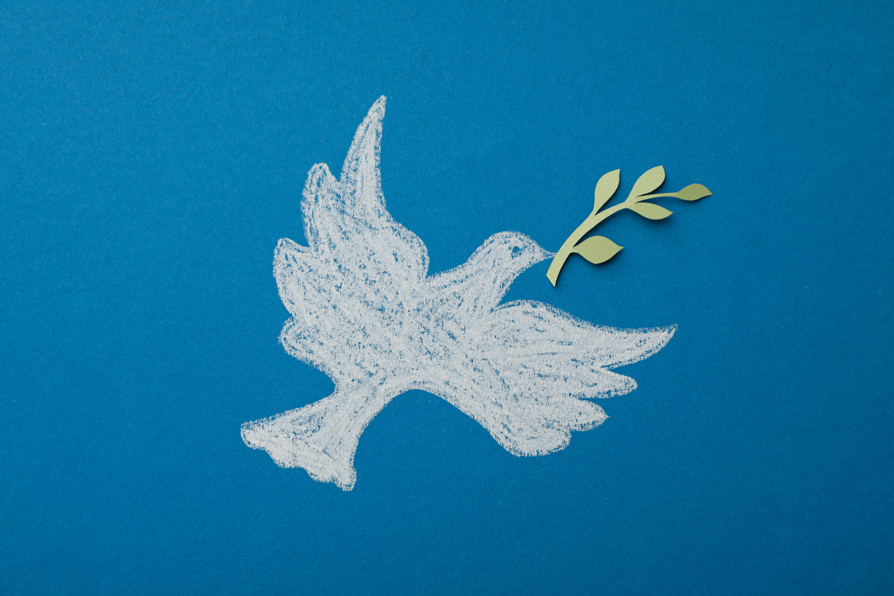 Chalk-drawn white dove holding a green olive branch against a blue background, symbolizing peace and hope.