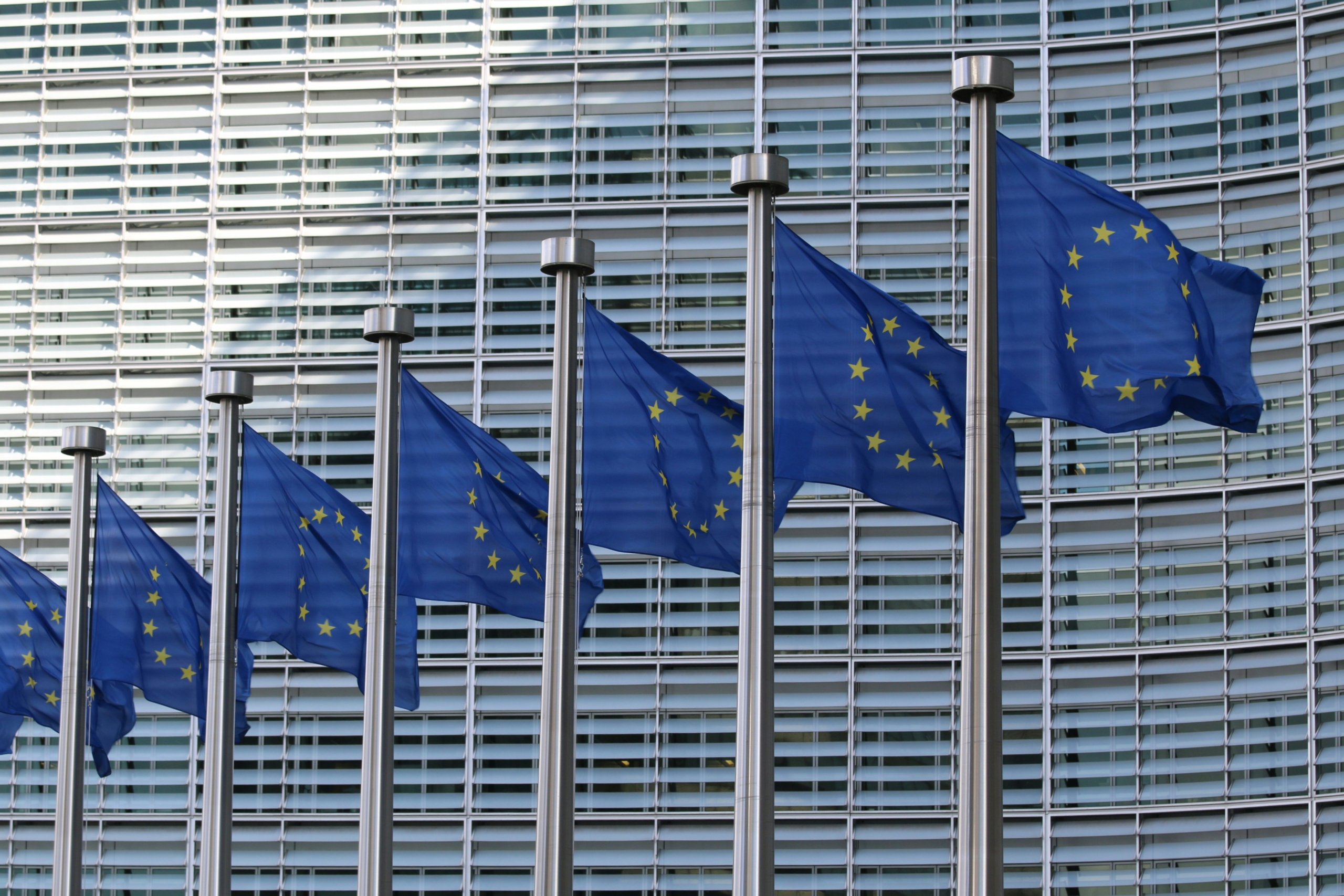 Photo of the several EU flags