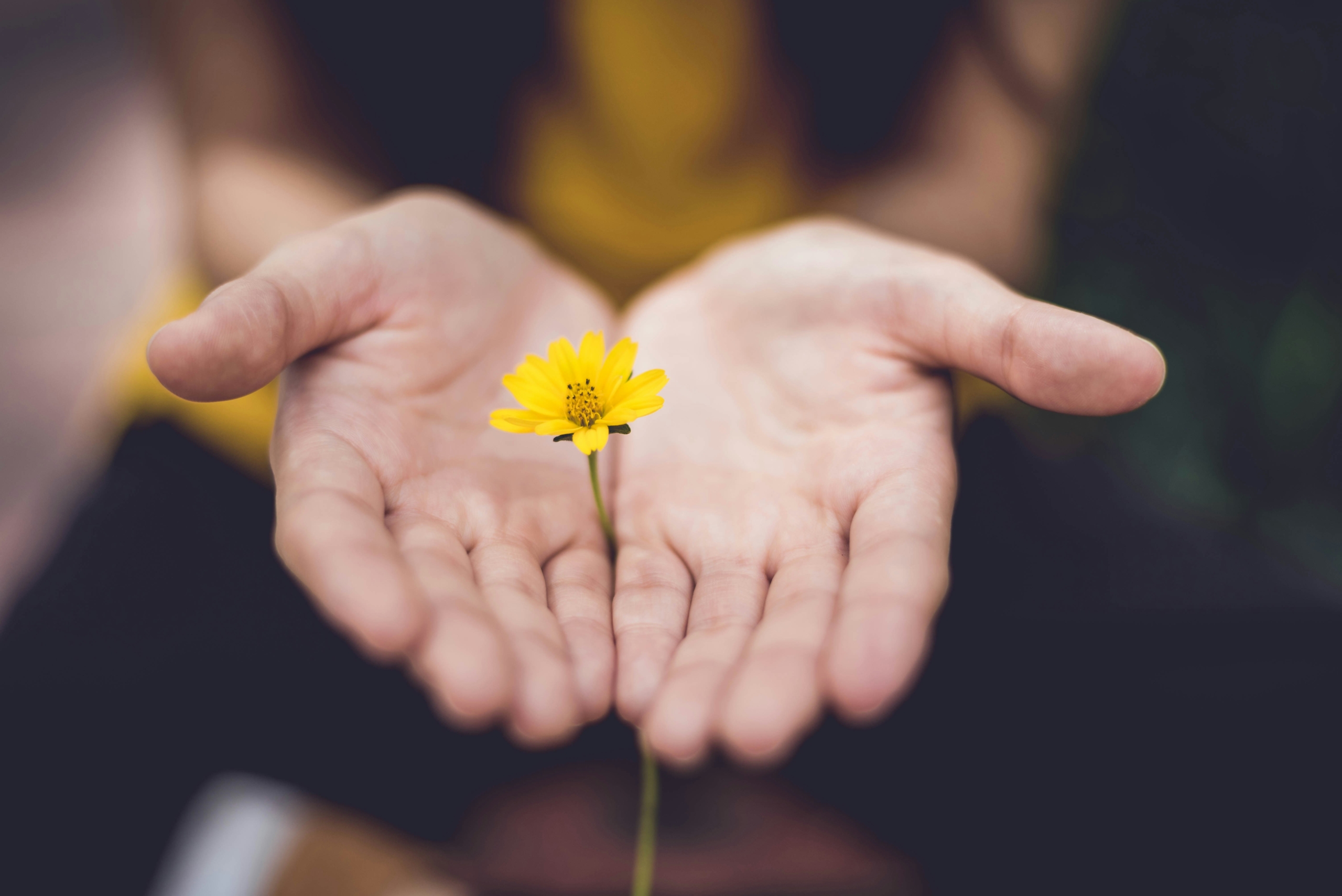 © Lina Trochez on Unsplash Picture of hands with a flower